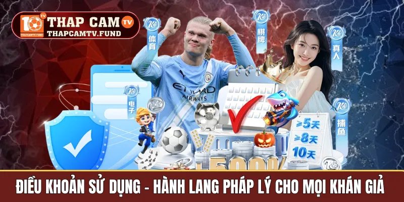 điều khoản sử dụng
